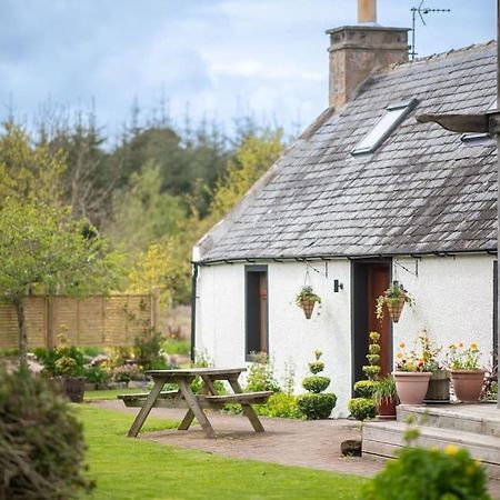 Cosy & Rustic Retreat - Woodland Cottage. Nairn Εξωτερικό φωτογραφία