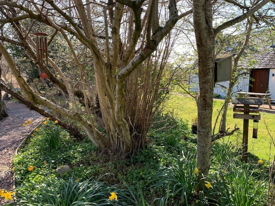 Cosy & Rustic Retreat - Woodland Cottage. Nairn Εξωτερικό φωτογραφία