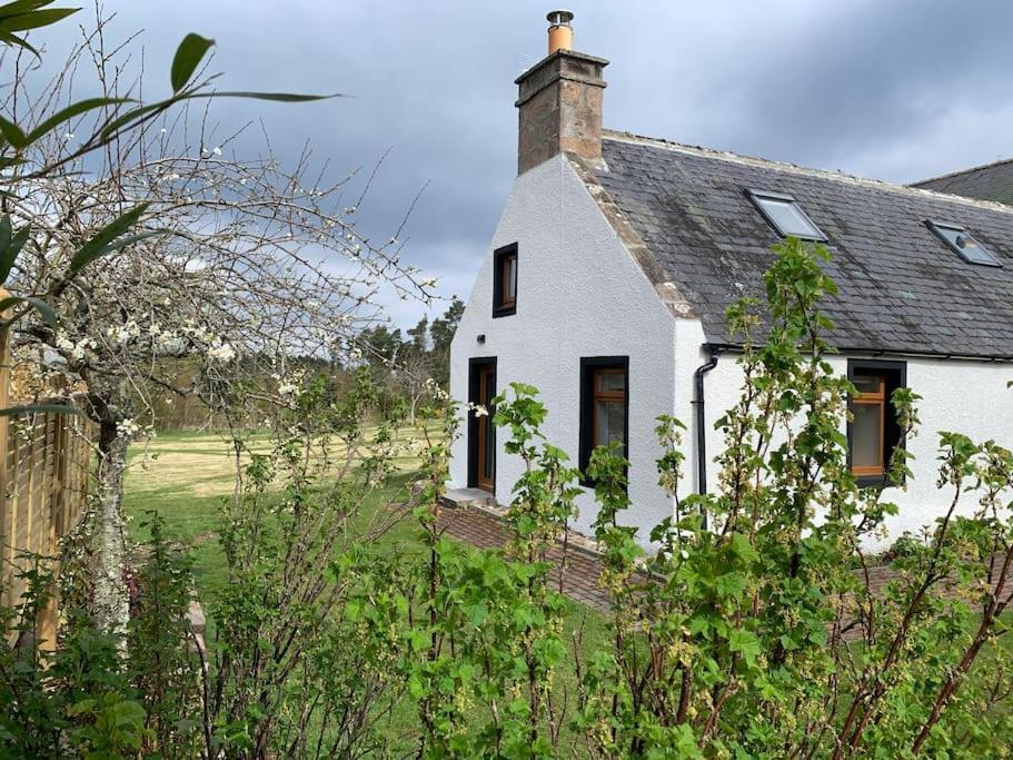 Cosy & Rustic Retreat - Woodland Cottage. Nairn Εξωτερικό φωτογραφία