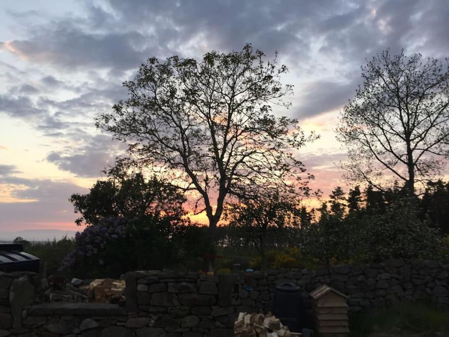 Cosy & Rustic Retreat - Woodland Cottage. Nairn Εξωτερικό φωτογραφία